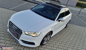 Audi S3 full