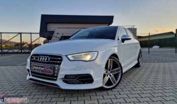 Audi S3 full