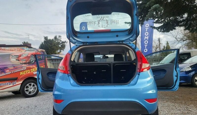 Ford Fiesta full