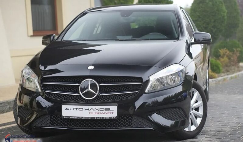 Mercedes-Benz Klasa A 180 CDI StreetStyle full