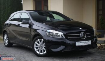 Mercedes-Benz Klasa A 180 CDI StreetStyle full