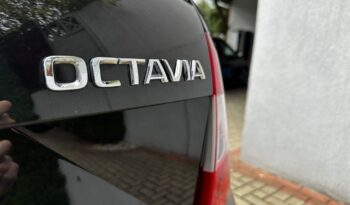 BDB Stan, 1.4 TSI 140KM, Gwarancja, Mały przebieg full