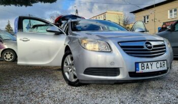 Opel Insignia full