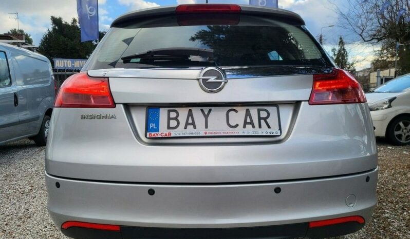 Opel Insignia full