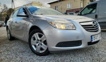 Opel Insignia full