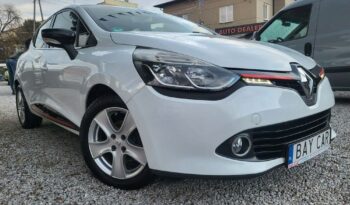 Renault Clio full
