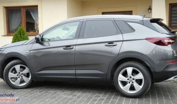Opel Grandland X 1.6 D Start/Stop Automatik Dynamic full