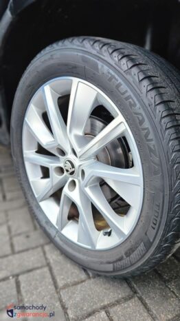 Skoda Karoq 2.0 TDI SCR 4×4 DSG Ambition full