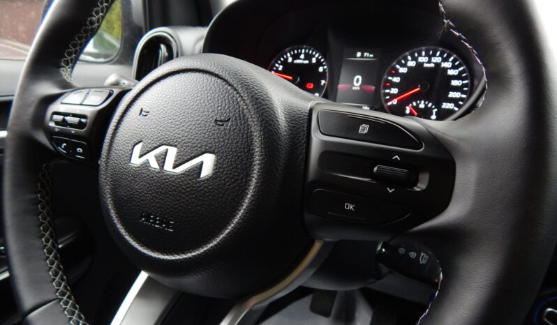 Auta małe KIA Picanto  2022 Benzyna Manualna FWD (przód) Szary 5 4 Niemcy Metalik full