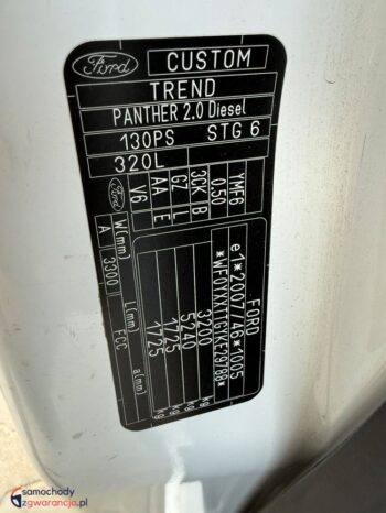 Ford Transit Custom full