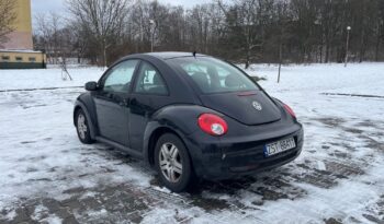 Volkswagen New Beetle 1.9 TDI full