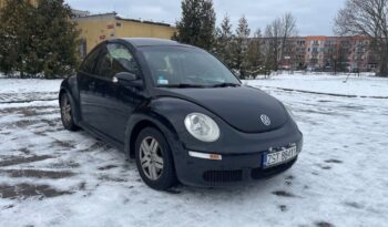 Volkswagen New Beetle 1.9 TDI full
