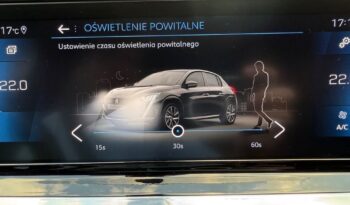 Peugeot 208 full
