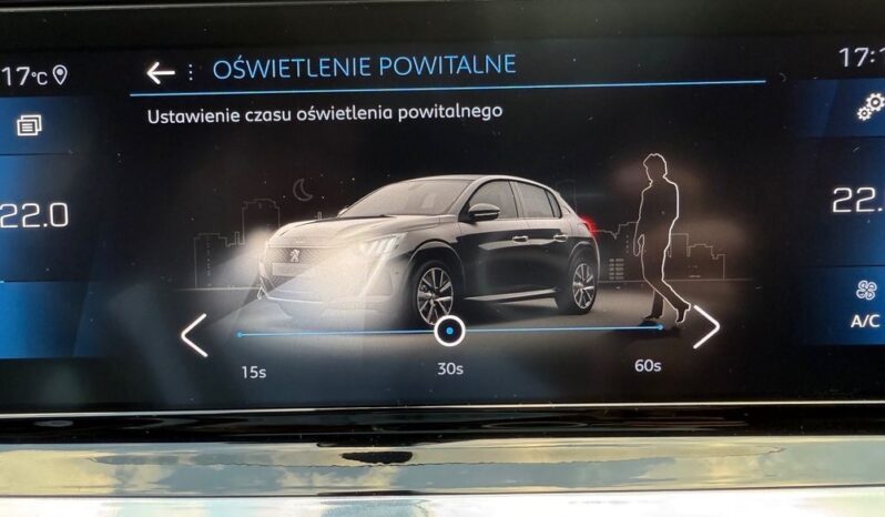 Peugeot 208 full