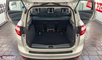 Ford C-MAX 2.0 TDCi Titanium full