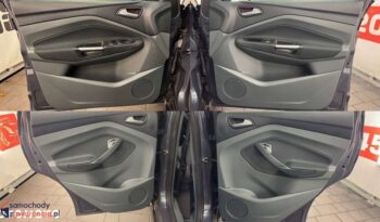 Ford C-MAX 2.0 TDCi Titanium full