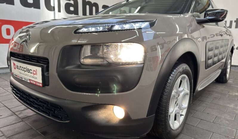 Citroën C4 Cactus full
