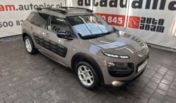 Citroën C4 Cactus full