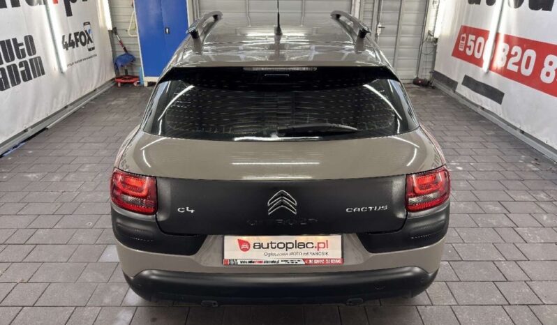 Citroën C4 Cactus full