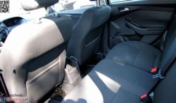 Ford Focus 1.6 Trend full