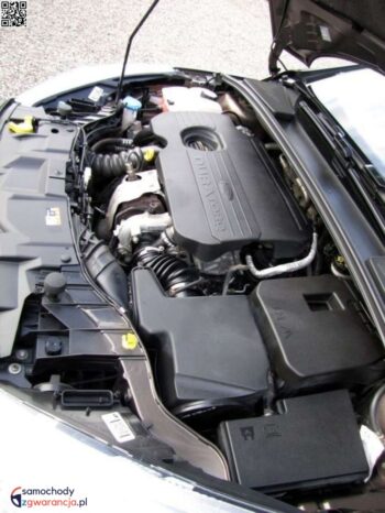 Ford Focus 1.5 TDCi Gold X full