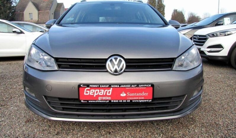 Volkswagen Golf full
