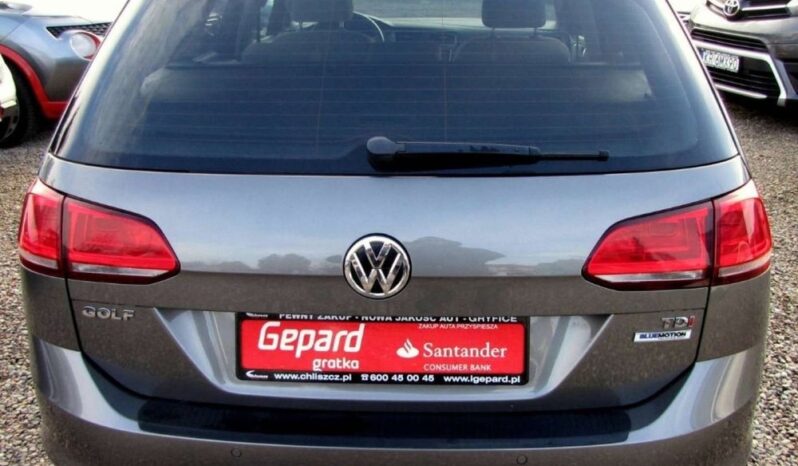 Volkswagen Golf full