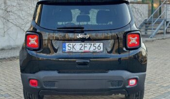 Jeep Renegade full
