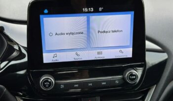 Ford Fiesta full