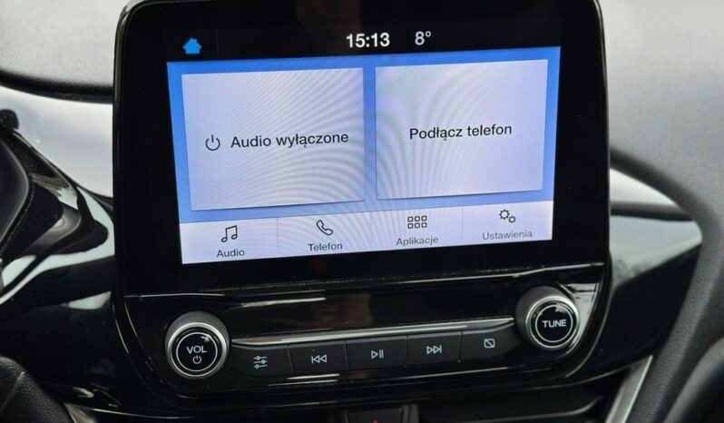 Ford Fiesta full