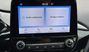 Ford Fiesta full
