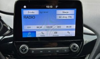 Ford Fiesta full