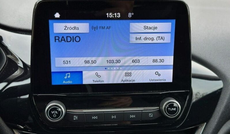 Ford Fiesta full