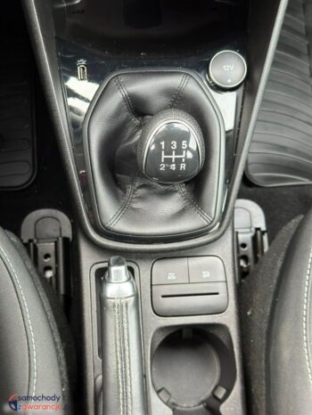 Ford Fiesta full