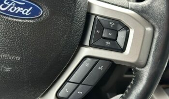 Ford F150 full