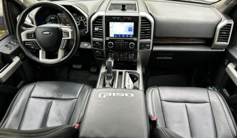 Ford F150 full