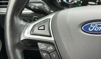 Ford S-Max 2.0 EcoBlue VIGNALE full