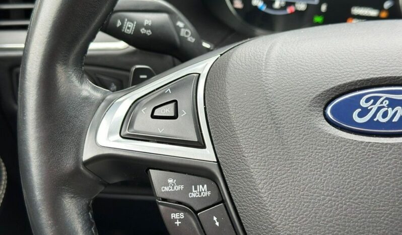 Ford S-Max 2.0 EcoBlue VIGNALE full