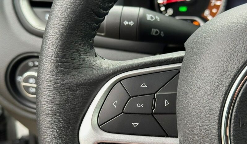 Jeep Renegade full