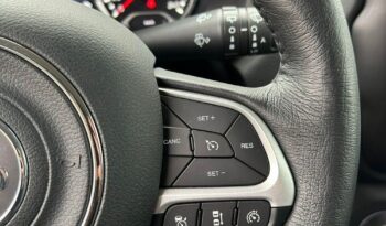 Jeep Renegade full