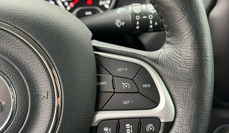 Jeep Renegade full