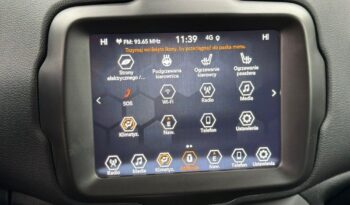 Jeep Renegade full