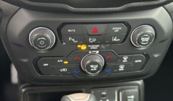 Jeep Renegade full