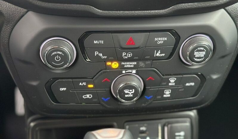 Jeep Renegade full