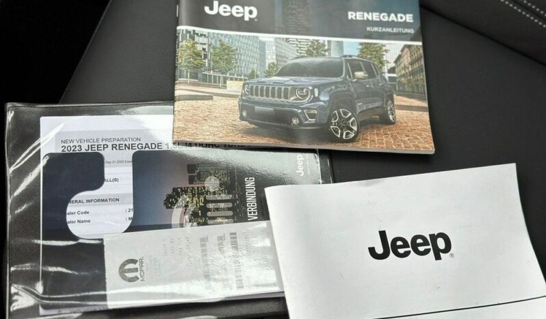Jeep Renegade full