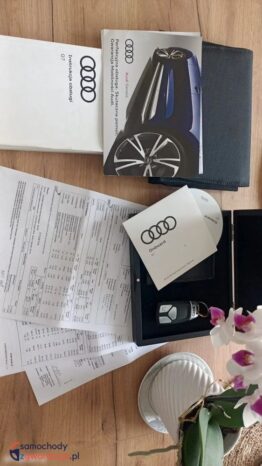 Audi Q7 50 TDI Quattro Tiptronic full