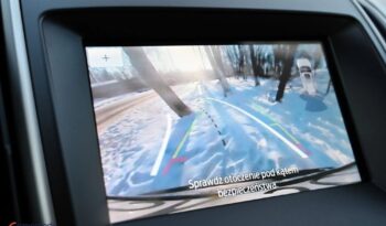 Ford Edge full