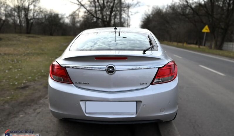 Opel Insignia full