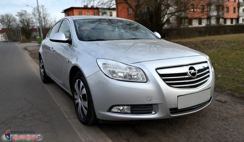 Opel Insignia full