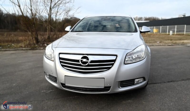 Opel Insignia full